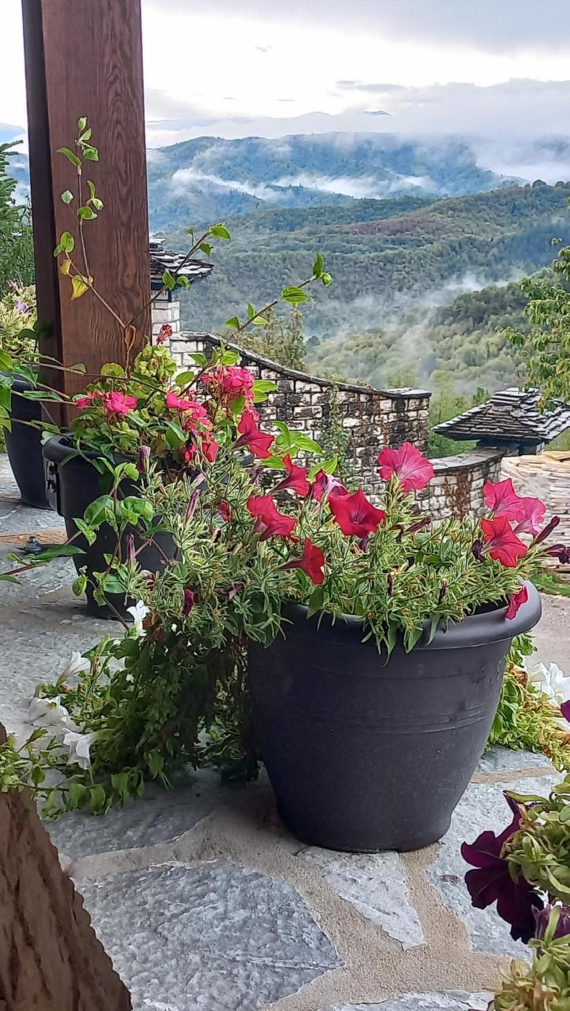 Guesthouse Selini Vitsa Esterno foto